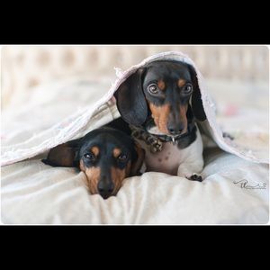 Meet your Posher, Tammy